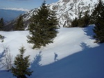 dsc00883.jpg