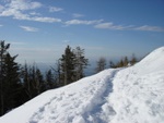 dsc00889.jpg