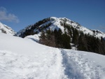 dsc00890.jpg