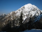 img_1788.jpg