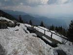 img_2184.jpg