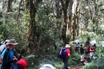 dsc05151.jpg