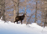 img_1529.jpg