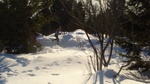 dsc01333.jpg