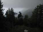 img_4908.jpg