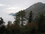img_4953.jpg
