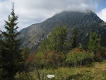 img_4965.jpg