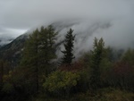 img_5146.jpg