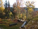img_5177.jpg
