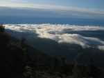 img_5190.jpg