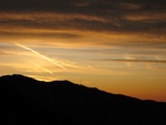 img_5541.jpg