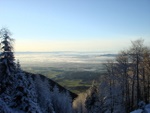 dsc02716.jpg