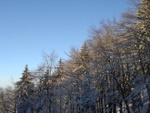 dsc02717.jpg