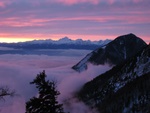 img_6579.jpg