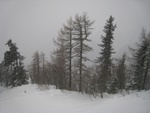 img_7223.jpg
