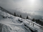 img_7242.jpg