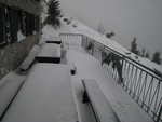 img_7884.jpg