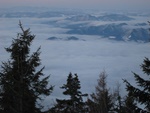 img_7903.jpg