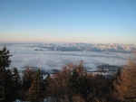 img_7923.jpg
