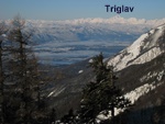 img_7938.jpg