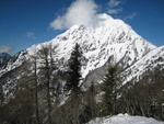 img_7941.jpg