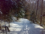060320103999.jpg