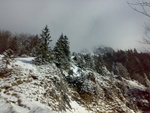 060320104005.jpg
