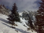 060320104007.jpg