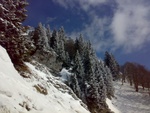 060320104010.jpg