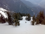 060320104013.jpg