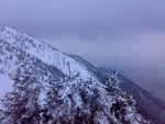 060320104022.jpg
