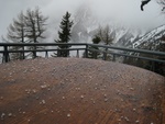 img_8286.jpg