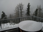 img_8303.jpg