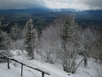img_8312.jpg