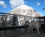 img_8369.jpg