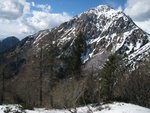 img_8392.jpg