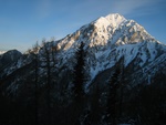 img_8412.jpg