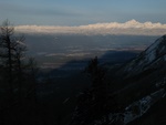 img_8414.jpg