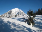img_8419.jpg