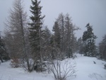 img_8455.jpg