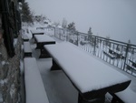 img_8456.jpg