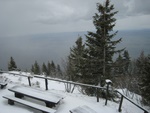 img_8463.jpg