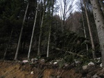 img_8486.jpg