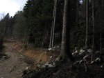 img_8488.jpg