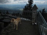 img_8761.jpg