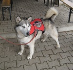 img_8795.jpg