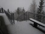 img_8803.jpg