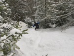 img_0215.jpg
