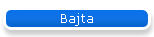 Bajta