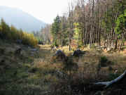 nedelja 28.oktober 2001